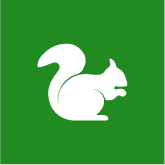 Squirrel Control Icon