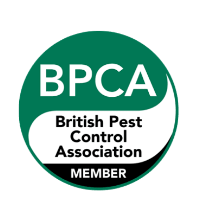 Saxon pest management