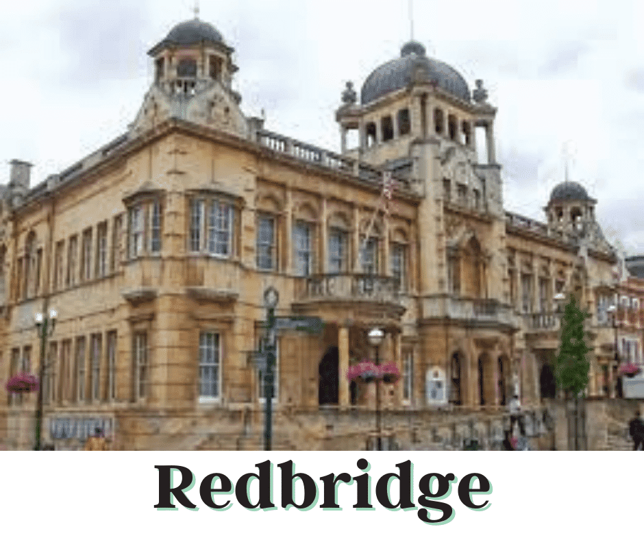 Best Pest control services in Redbridge
