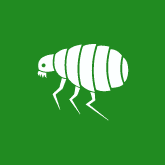 Flea Control Icon