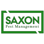 site icon
