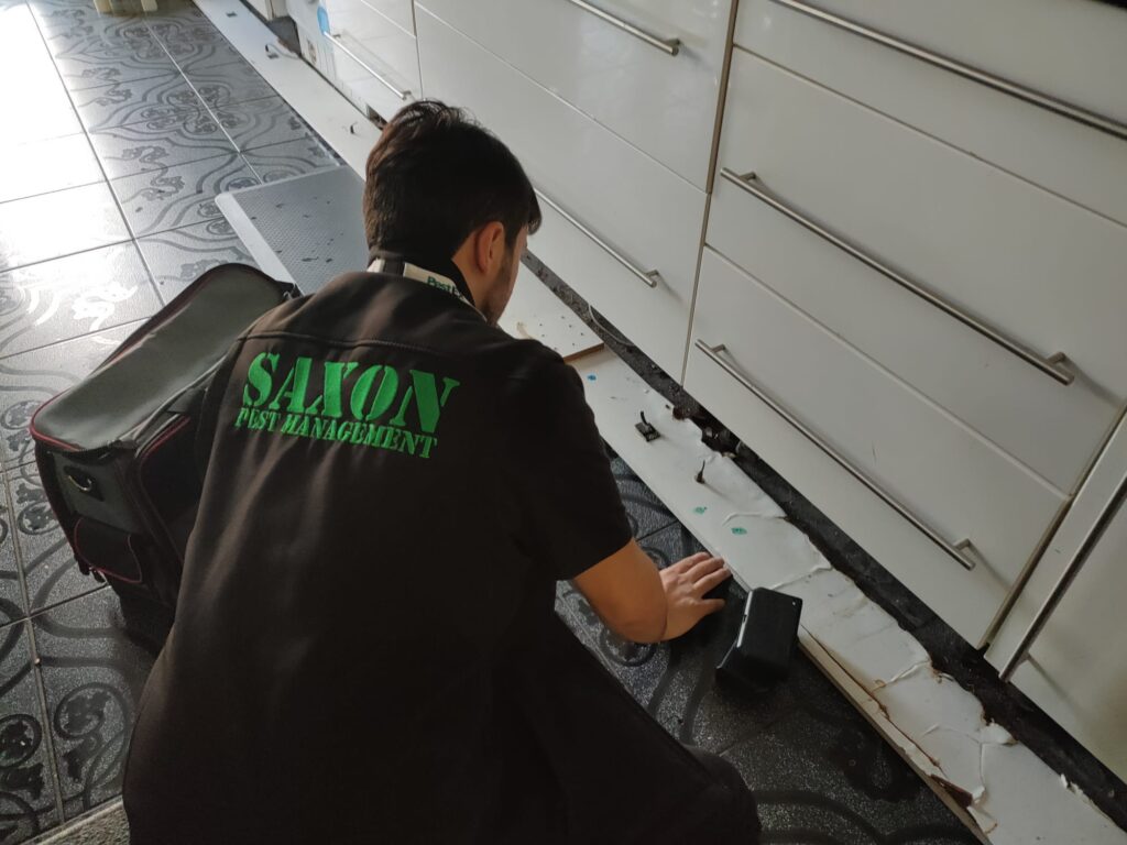 Saxon pest management