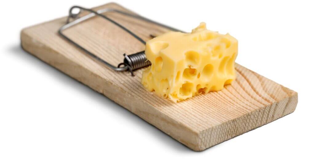 How to get rid of rats in the warehouse?