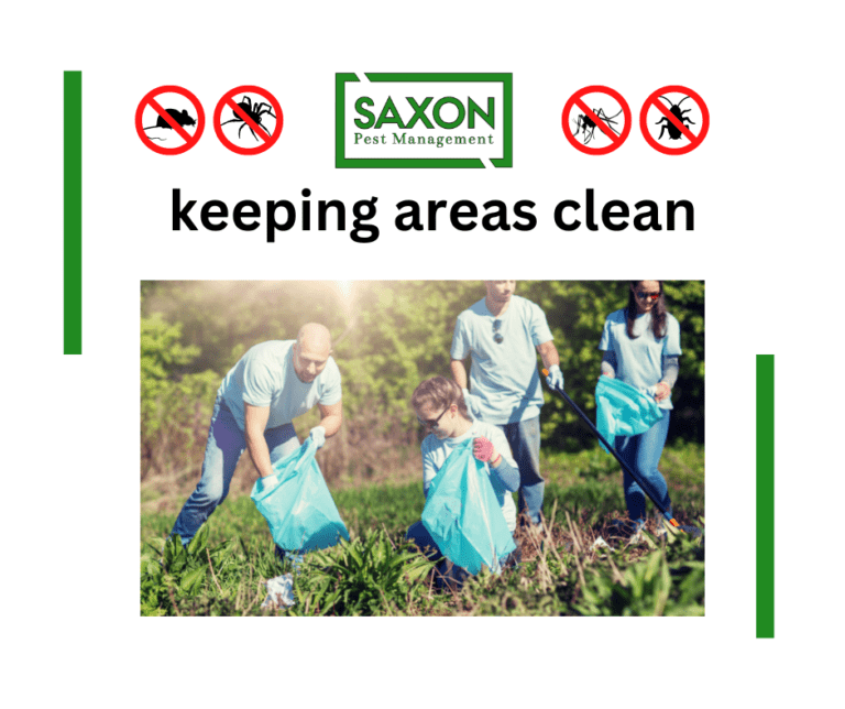 Mice & Rats Control services in llford London