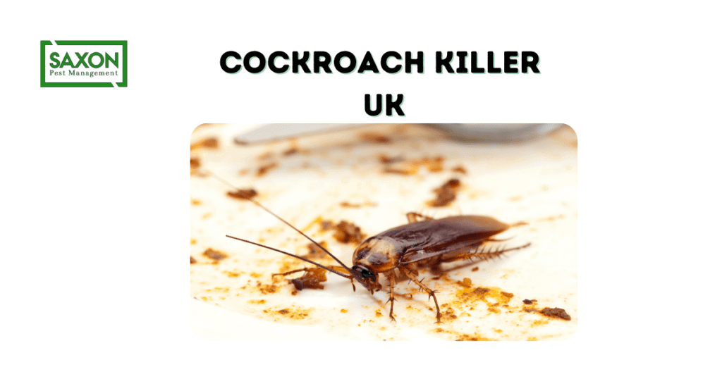 Cockroach killer uk