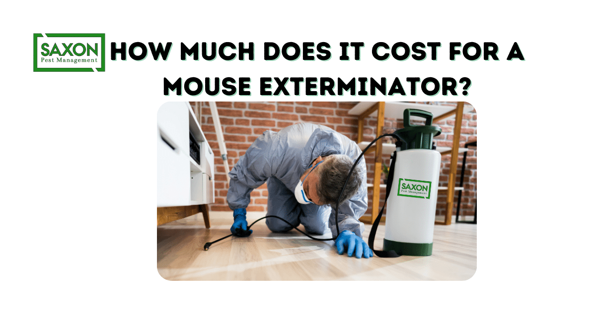 How much does it cost for a mouse exterminator?