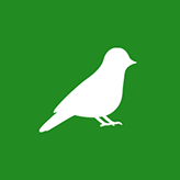 Bird Control