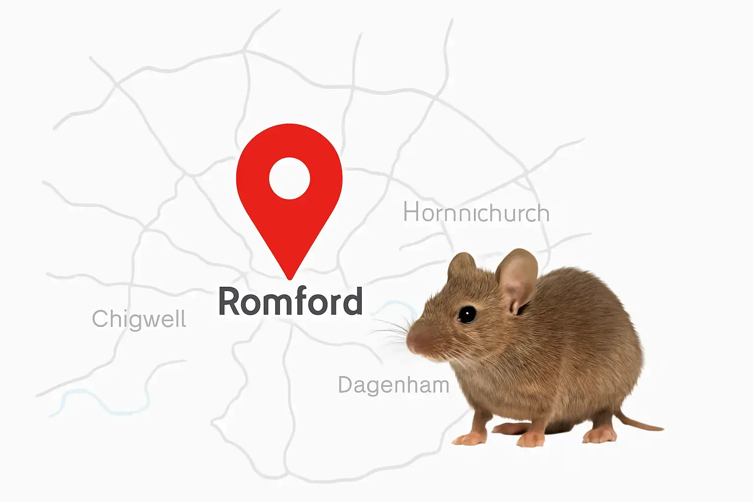 Pest Control Service Romford
