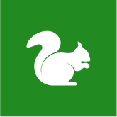 Squirrel Control Icon