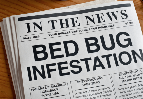 Bed bugs Control services in Ilford London