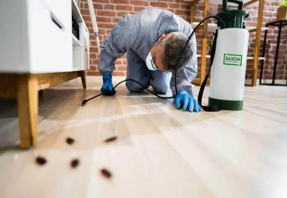 Pest control serivce