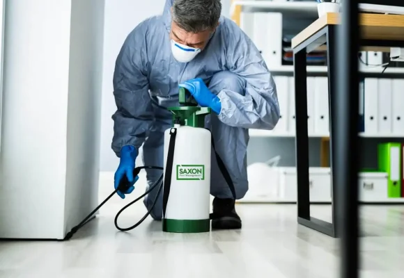 Saxon Pest Management