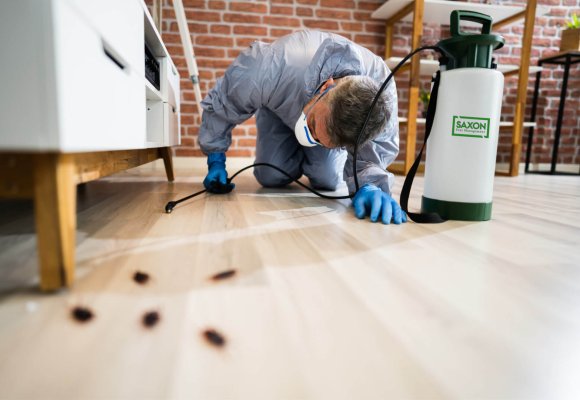 Cockroach Control services in Ilford London