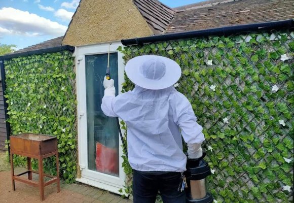 Saxon Pest Management Outdoor