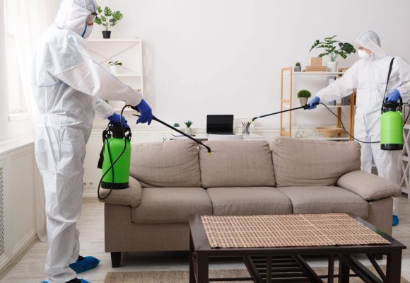 pest service in Hackney